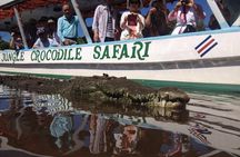 Carara National Park and Crocodile River Cruise