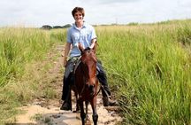 Cali: Horseback riding through beautiful landscapes and mountains