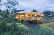 7 Days Group Camping Tarangire/Serengeti/Ngorongoro Crater and Lake Manyara
