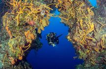 2 dives in Cozumel (for certified divers only)