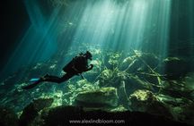 Cenotes 2-Day Scuba Diving Package in the Riviera Maya