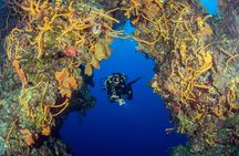 Cozumel Dive Package - Certified Divers from the Riviera Maya (4 dives)