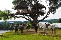 Kayak & Horseback Riding in the Jungle