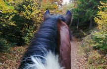 1 Hour Waterfalls Canyon Private Horse Riding in Smolyan 