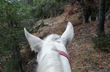 Private Cascades Waterfall Horseback Riding Tour from Smolyan