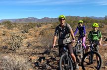2 Hour Sonoran Desert Private Guided Mountain Bike Tour