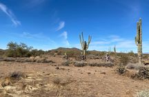 2 Hour Sonoran Desert Private Guided Mountain Bike Tour