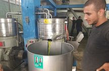Culinary Day Tour of the Galilee
