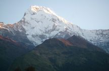 Discover the Beauty of Annapurna with Mardi Himal Trek