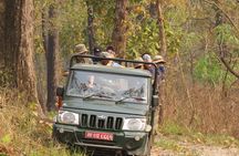 Jeep Safari ( inside Chitwan National Park, 8-10 hrs.).