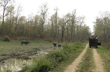 Jeep Safari ( inside Chitwan National Park, 8-10 hrs.).