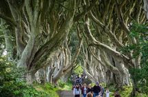 Private Giants Causeway Tour From Belfast