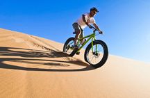 Fat Bike Desert Tour