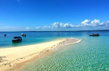 Nungwi Village & Sea Turtle Swimming Tour with Transfer-Zanzibar