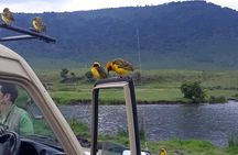 Ngorongoro Crater Day Trip