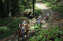 Horseback Riding and Natural Swimming Pools / Jacó Beach
