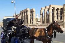 Luxor Horse-Drawn Carriage City Tour