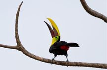 Safari Float and wild life experience in Arenal 