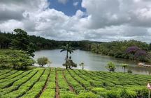 Full-Day Tea route and La Vanile Nature Park Tour in Mauritius 