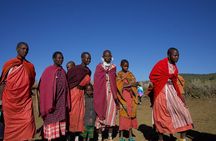 2-Day Private Tour in Masai Mara with Pick Up