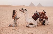 6 Days Cairo, Luxor & Aswan Tour