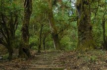 Kathmandu Shivapuri National Park and Nagarkot Hiking - 3 Days