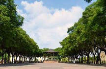 Jerez City Guided Tour with Winery Visit and Tasting of 3 wines