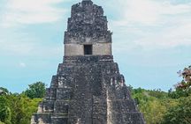Private Tikal Mayan City Tour with Lunch