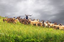 Durmitor National Park hiking tour - easy to moderate