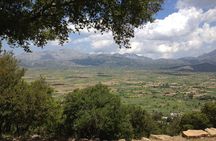 Combined Guided Tour to Lasithi Plateau & Knossos Palace