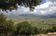 Guided Tour to Lasithi Plateau