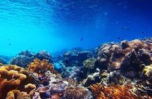 Subsea Subsee