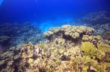 Discover Scuba Diving Aruba