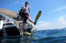 Diving Tour for Certified Divers: Sail Rock or Koh Tao