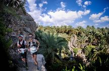 Jebal Akhdar And Nizwa Cool And Green