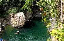 Rainforest Nature Walk & Luquillo Beach Combo