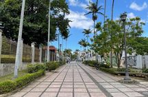 San Jose Walking City Tour -Private-