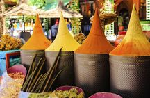 Marrakech Guided Day Trip from Casablanca: Djemaa el-Fna Square and Bahia Palace
