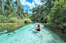 Glass Bottom Kayak Tour