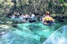 Glass Bottom Kayak Tour