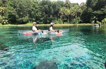 Glass BottomKayak Eco Tour