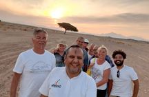 Sunset Oasis Desert Experience in El Gouna and Hurghada