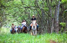 Oahu Sunset Horseback Ride