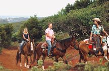 Oahu Sunset Horseback Ride