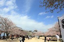 [Town walk] Stroll around Matsuyama Castle and enjoy local shopping