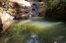 Day Trip to Menagesha Suba Forest from Addis Ababa