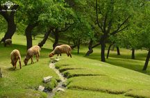 10 Days Tour to Hunza, Skardu & Deosai camping From May to October
