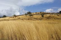Saranda: Tour in South of Albania (Butrint, Blue Eye, Ksamil)