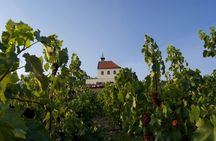 2.5-Hour Prague Wine Tasting Walking Tour