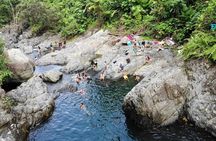 El Yunque National Forest and Luquillo Beach Combo